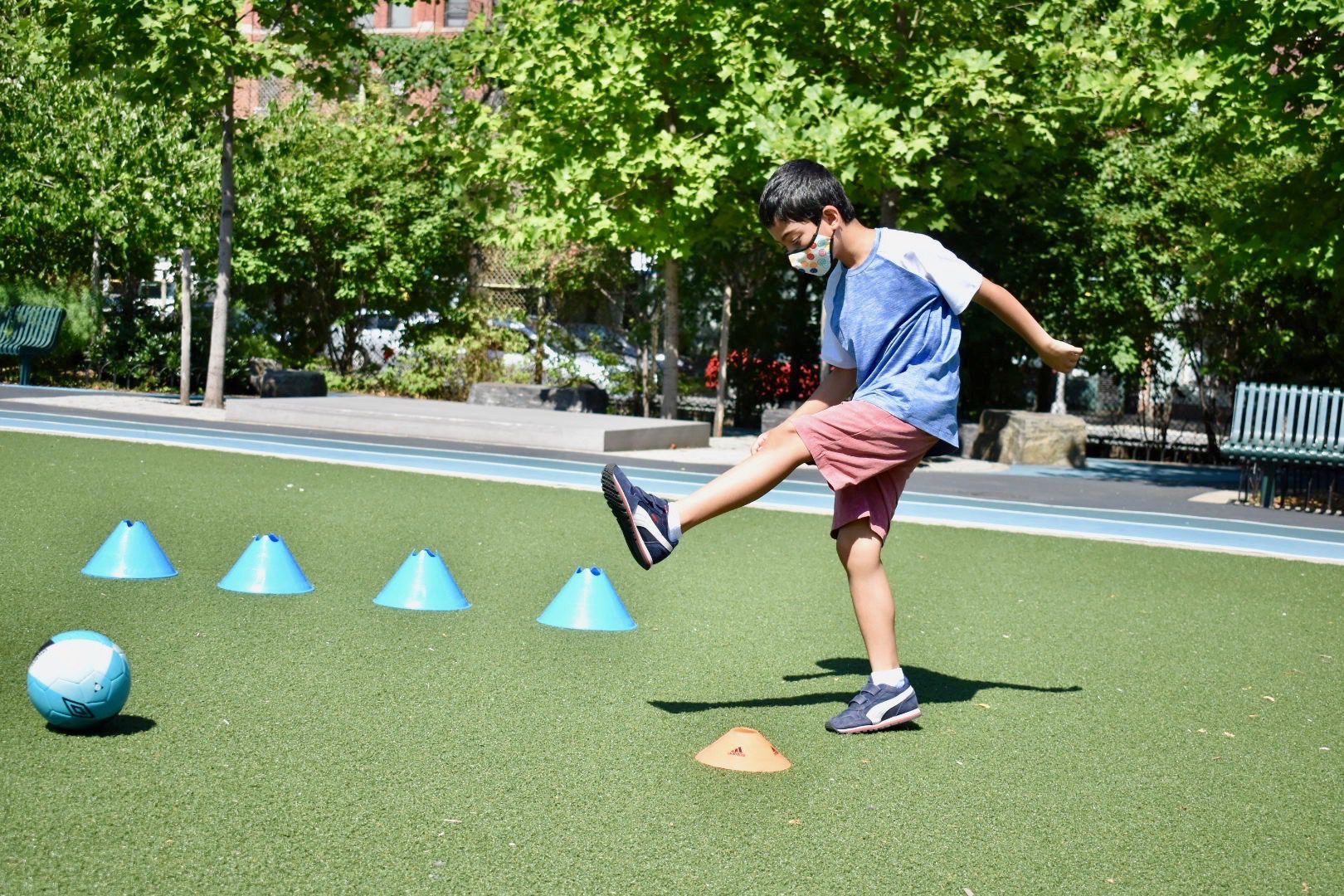 Field Day Programs