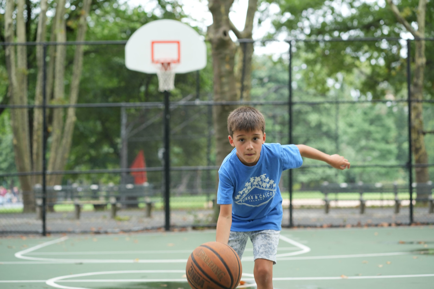 Upper East Side – Carnegie Hill