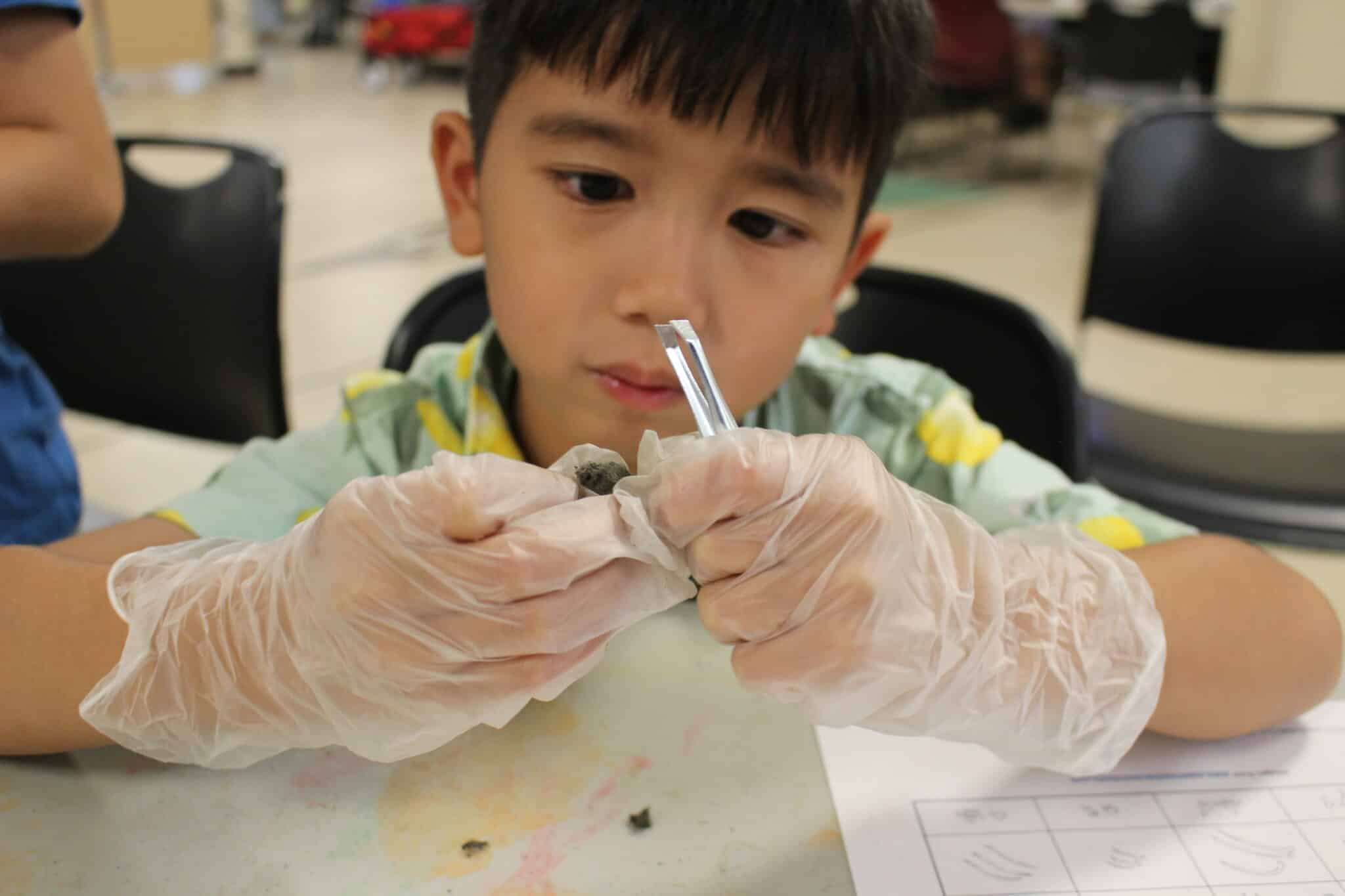 I Wanna Be... a Detective!